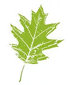 NGBH leaf logo